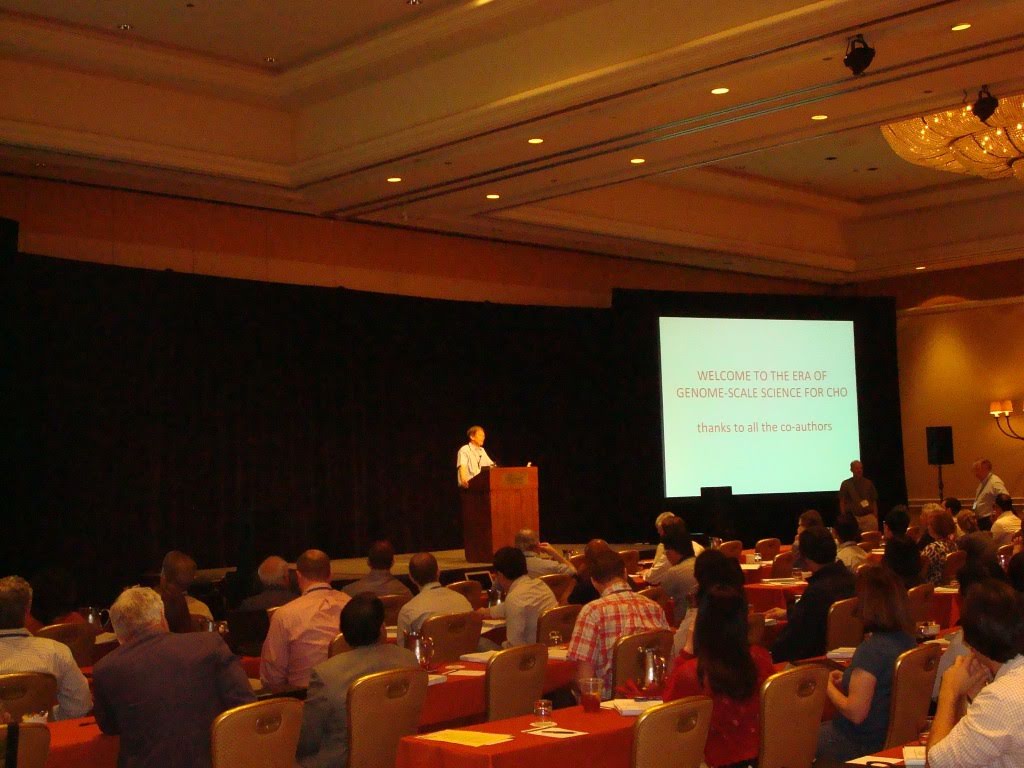 This image has an empty alt attribute; its file name is conference-hall-1.jpeg